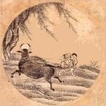 ox-herding-pictures ox-herding-pictures