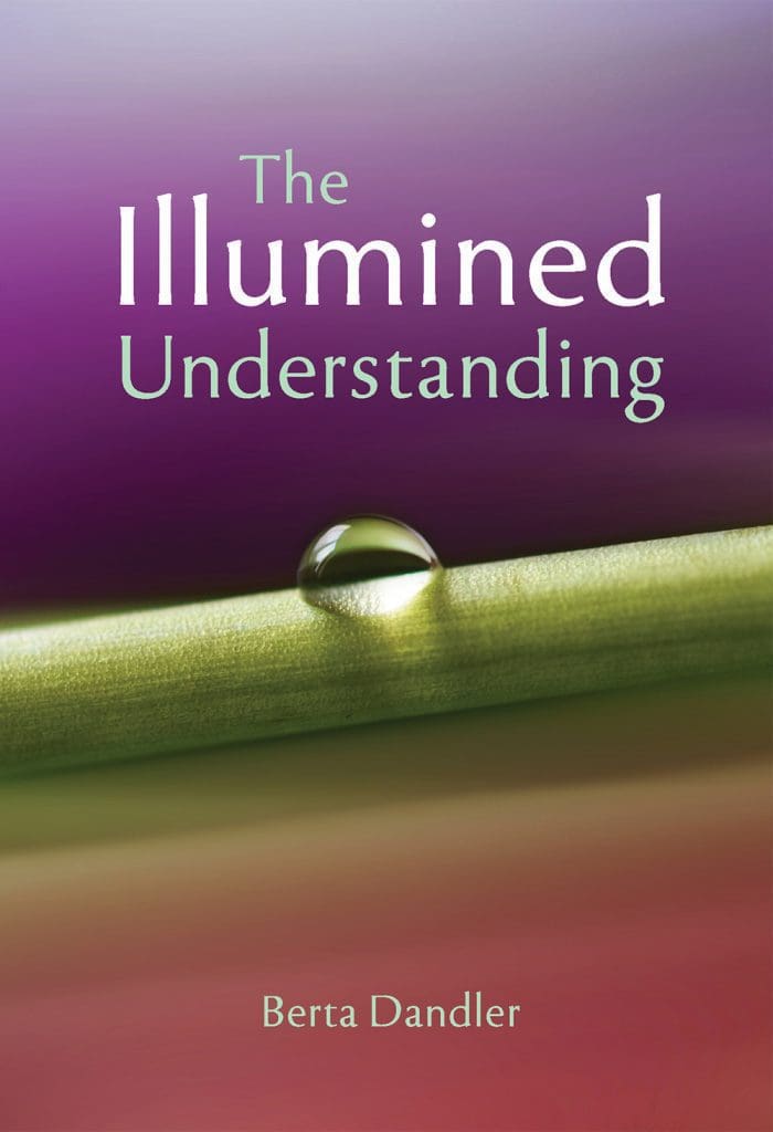 Illumined Understanding Cover of the Illumined Understanding