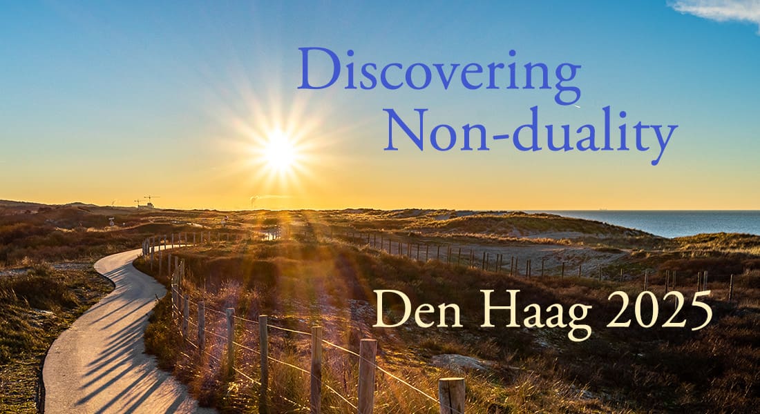 discovering denhaag dunes